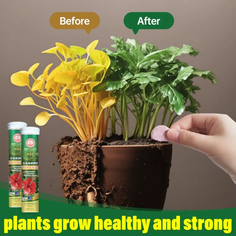 Universal Nutrient Tablets Plant (BUY 1 GET 1 FREE)