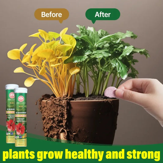 Universal Nutrient Tablets Plant (BUY 1 GET 1 FREE)